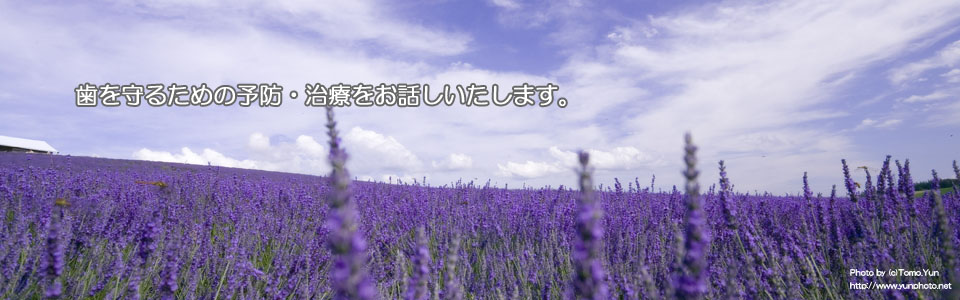 ○○歯科医院